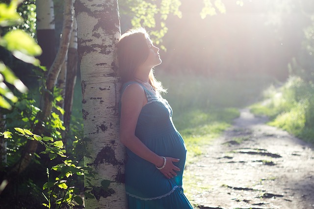Kobieta w ciąży stoi przy brzozie